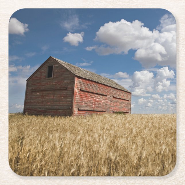 Posavasos Cuadrado De Papel Granjas | Antiguo granero rojo en el yacimiento de (Anverso)