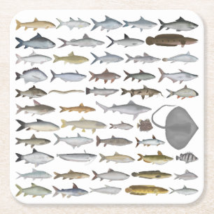 Posavasos Cuadrado De Papel Grupo de peces de agua dulce del sur de Asia