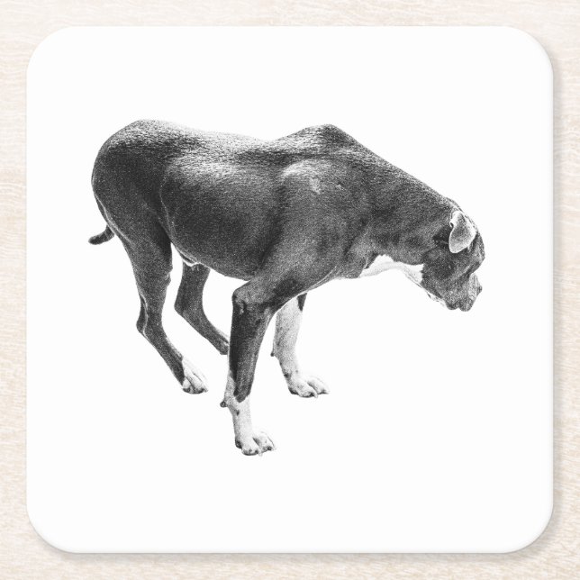 Posavasos Cuadrado De Papel Guardián de tabla de otoño (Anverso)