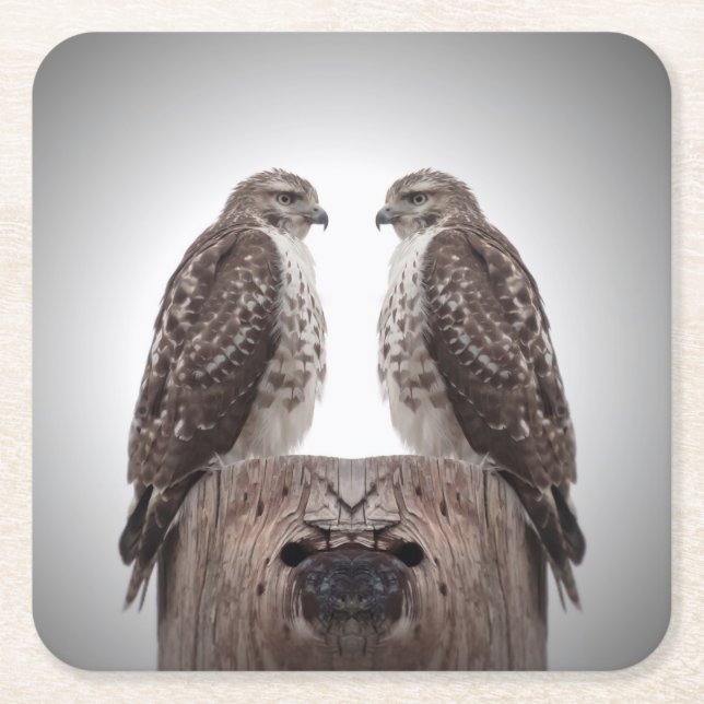 Posavasos Cuadrado De Papel Halcones en un poste (Anverso)