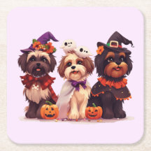 Halloween Shih Tzu Dogs