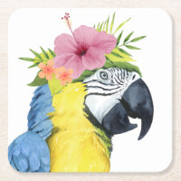 Halo tropical - loro