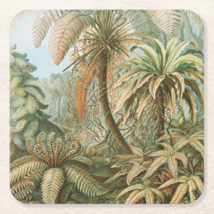 Posavasos Cuadrado De Papel Helechos, Filicinae Laubfarne por Ernst Haeckel