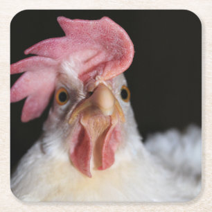 Posavasos Cuadrado De Papel Hen