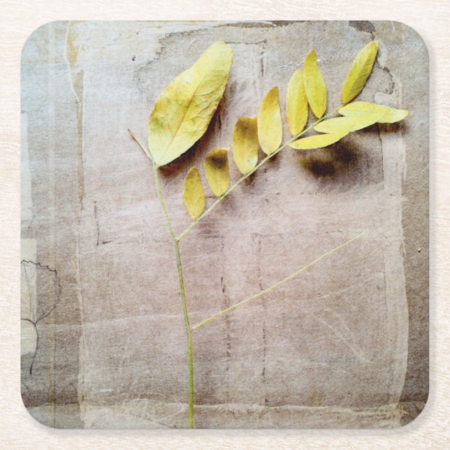 Posavasos Cuadrado De Papel Herbario V (Anverso)