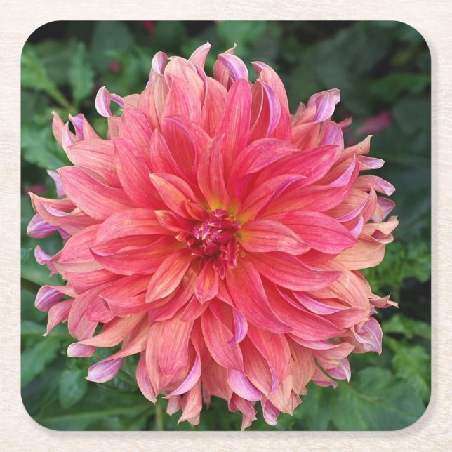 Posavasos Cuadrado De Papel Hermosa Flor (Anverso)