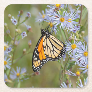 Posavasos Cuadrado De Papel Hermosa Mariposa