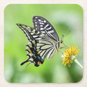 Posavasos Cuadrado De Papel Hermosa mariposa de cola Swallowtail