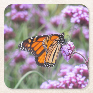 Posavasos Cuadrado De Papel Hermosa mariposa en flores moradas