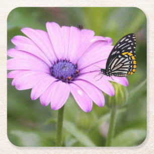 Posavasos Cuadrado De Papel Hermosa mariposa en flores rosadas