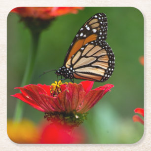Posavasos Cuadrado De Papel Hermosa mariposa monarca