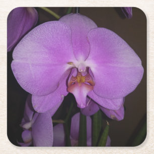 Posavasos Cuadrado De Papel Hermosa montaña orquídea