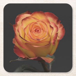 Posavasos Cuadrado De Papel Hermosa Rosa Naranja