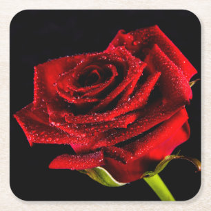 Posavasos Cuadrado De Papel Hermosa rosa roja