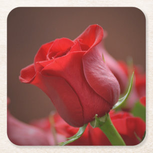 Posavasos Cuadrado De Papel Hermosa Rosa Roja