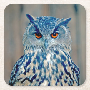 Posavasos Cuadrado De Papel Hermosa Uhu Raptor Owl