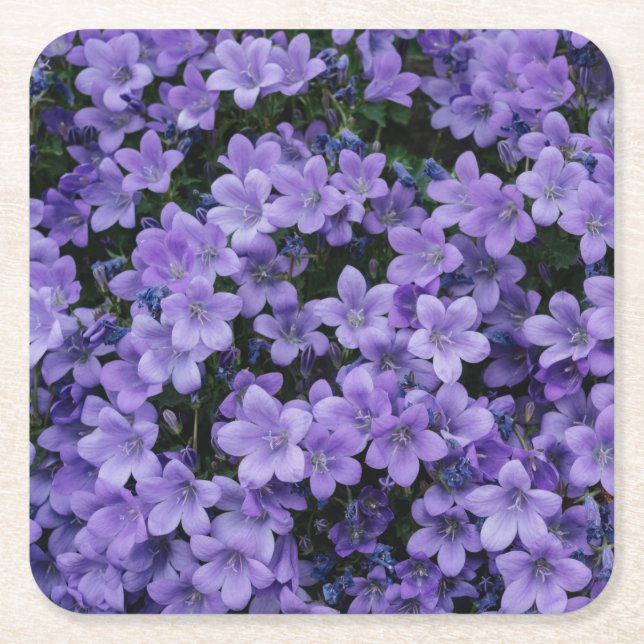 Posavasos Cuadrado De Papel Hermosas flores moradas (Anverso)