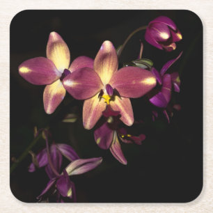 Posavasos Cuadrado De Papel Hermosas orquídeas