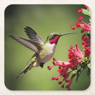 Posavasos Cuadrado De Papel Hermoso Colibrí