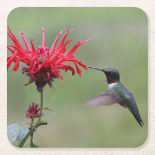 Posavasos Cuadrado De Papel Hermoso colibrí en un juego de espuma volcánica