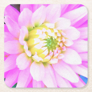 Posavasos Cuadrado De Papel Hermoso Dahlia de Cactus Rosa, Blanco y Amarillo M