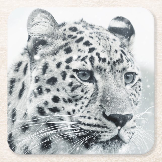 Posavasos Cuadrado De Papel Hermoso leopardo en la nieve (Anverso)