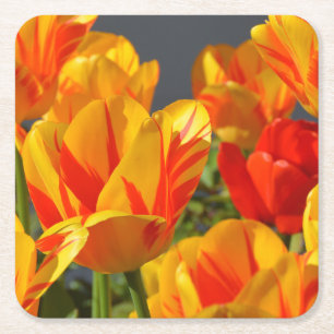 Posavasos Cuadrado De Papel Hermoso Naranja y tulipanes amarillos