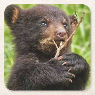 Posavasos Cuadrado De Papel Hermoso oso bebé
