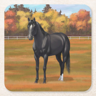 Posavasos Cuadrado De Papel Hermoso Stallion de caballos del Barrio Negro