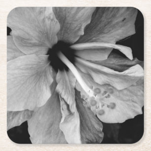 Posavasos Cuadrado De Papel Hibisco