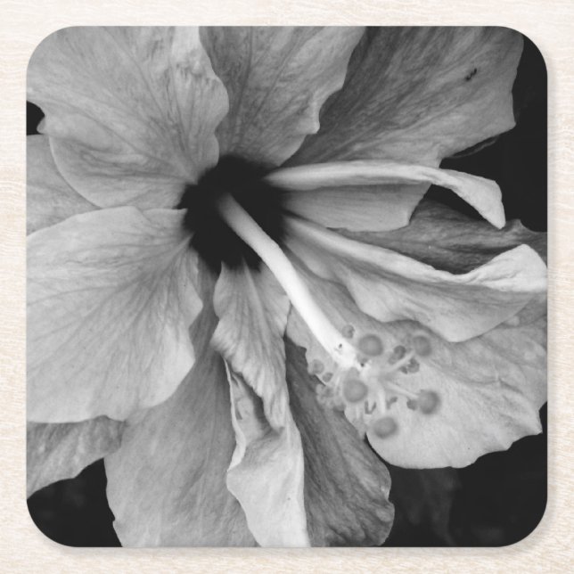 Posavasos Cuadrado De Papel Hibisco  (Anverso)