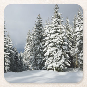 Posavasos Cuadrado De Papel Hielo y nieve Pine Woodland, Austria