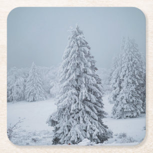 Posavasos Cuadrado De Papel Hielo y nieve Woodland, Alpes suizos