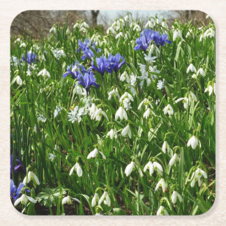 Posavasos Cuadrado De Papel Hillside of Early Spring Flowers Landscape