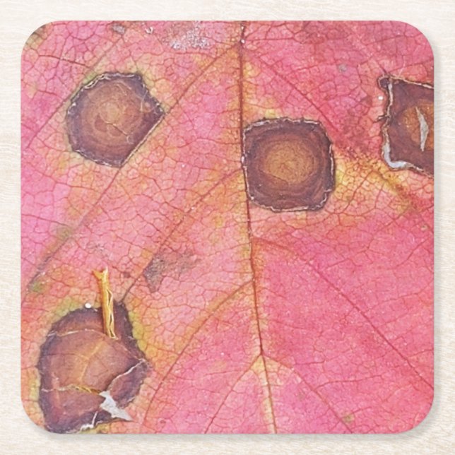 Posavasos Cuadrado De Papel Hoja de caída roja punteada marrón (Anverso)