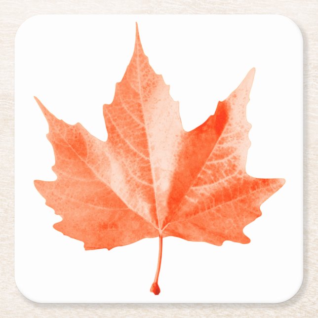 Posavasos Cuadrado De Papel Hoja de otoño de arce (Anverso)