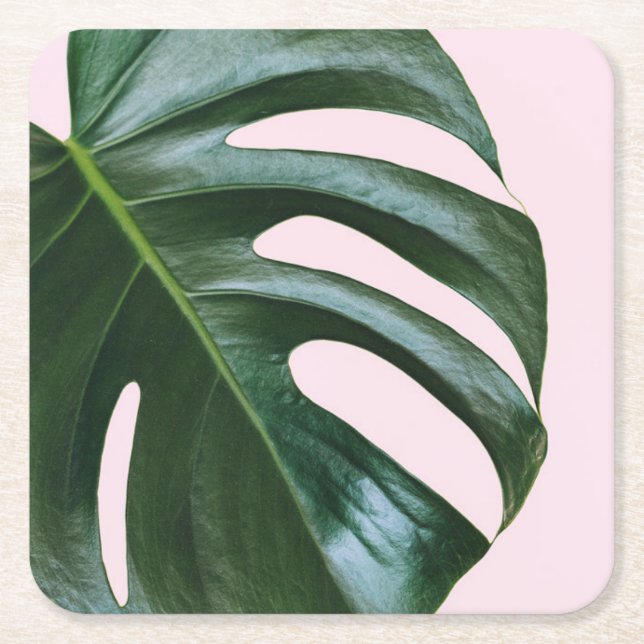 Posavasos Cuadrado De Papel Hoja tropical de Monstera (Anverso)