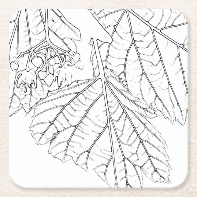 Posavasos Cuadrado De Papel Hojas de Basswood (Anverso)
