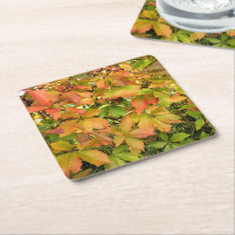 Posavasos Cuadrado De Papel Hojas silvestres de vid otoñales