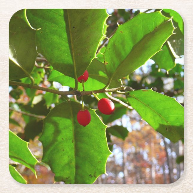 Posavasos Cuadrado De Papel Holly Leaves II Naturaleza de las vacaciones Botán (Anverso)