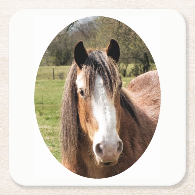 POSAVASOS CUADRADO DE PAPEL HORSE (Anverso)