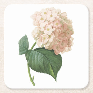 Posavasos Cuadrado De Papel hortensia(Hydrangea sp.) de Redouté