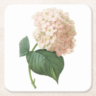 Posavasos Cuadrado De Papel hortensia(Hydrangea sp.) de Redouté