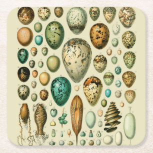 Posavasos Cuadrado De Papel Huevos de Pájaros Antiguos Arte de Huevos de Pesca