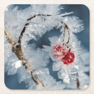 Posavasos Cuadrado De Papel Ice Berries