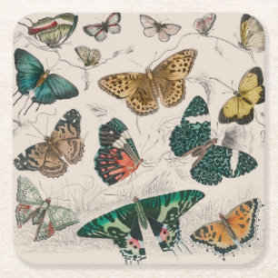 Posavasos Cuadrado De Papel Ilustración antigua de mariposa: Orfebre de 1820