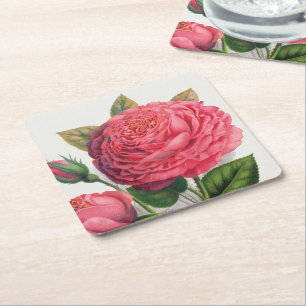 Posavasos Cuadrado De Papel Ilustración de rosa rosa vintage