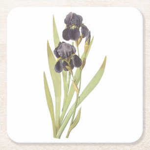 Posavasos Cuadrado De Papel iris barbudo (Iris germanica) de Redouté