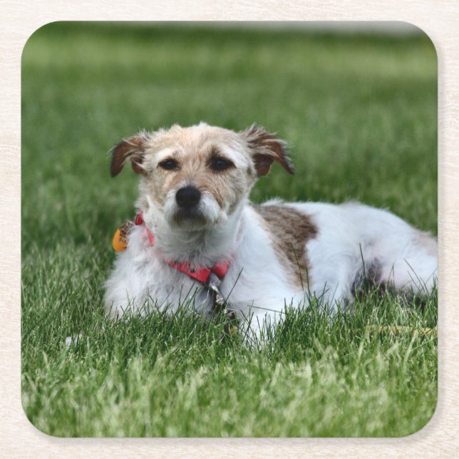 Posavasos Cuadrado De Papel Jack (Anverso)