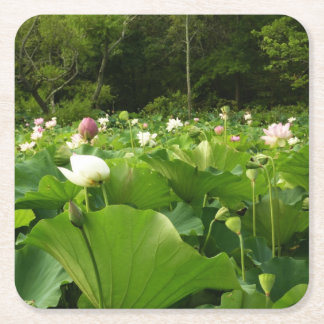 Posavasos Cuadrado De Papel Jardín de verano de Lotus Flowers